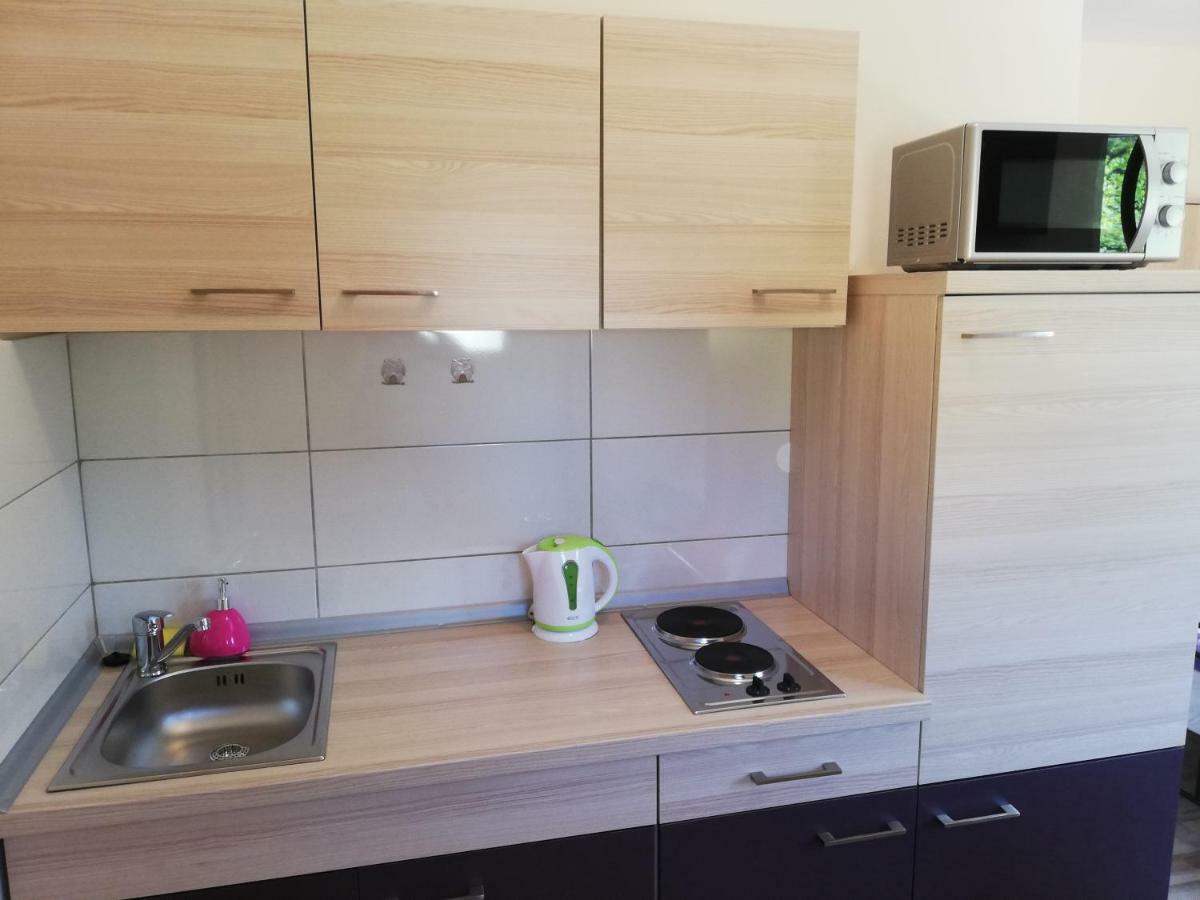 Studio Apartment Palmira Liznjan Exterior photo